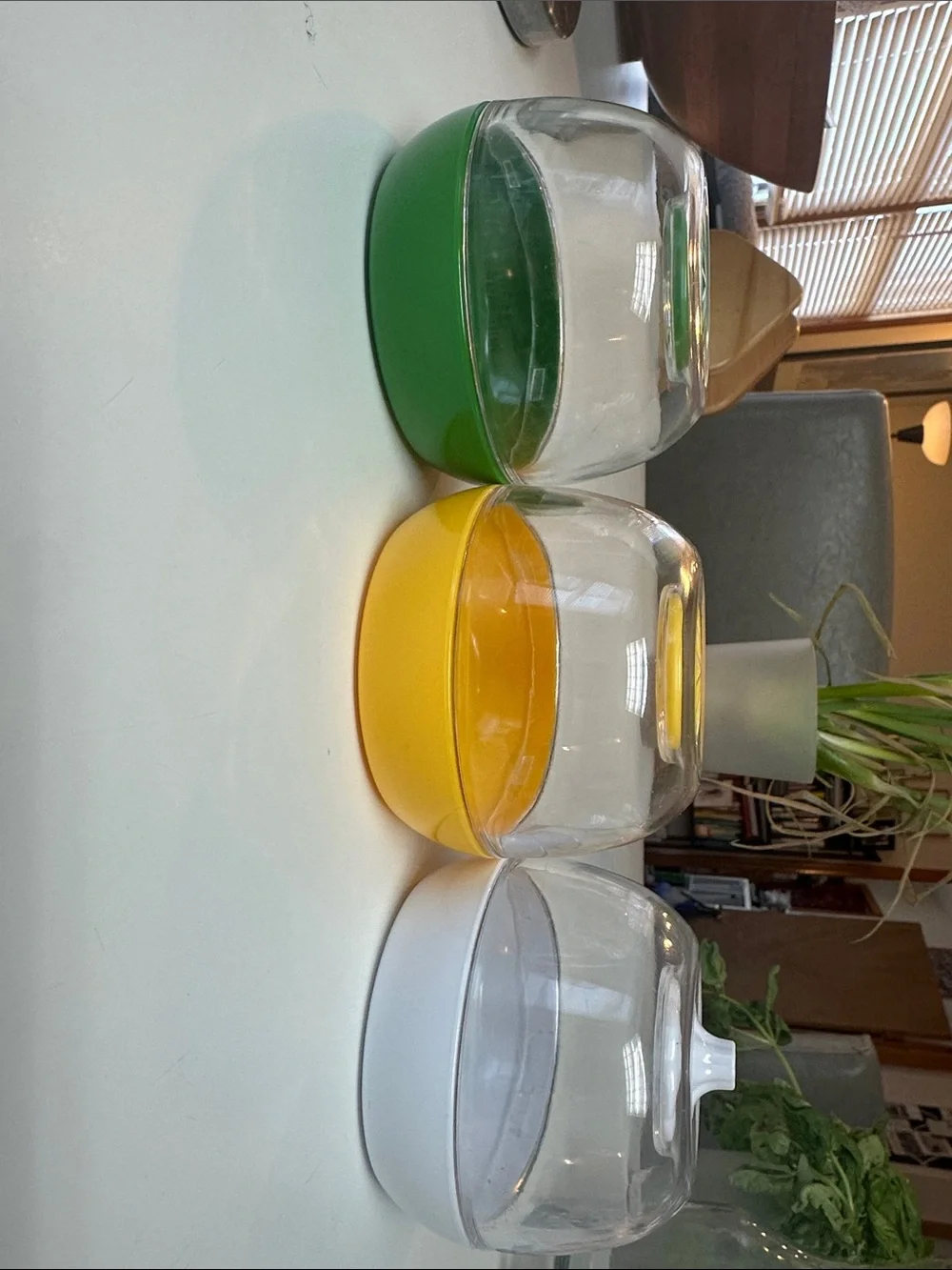 Set of 3 Clear storage, lemon/ lime and garlic